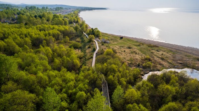 Снизить оборот одноразовой посуды на Байкале предлагают в Иркутской области